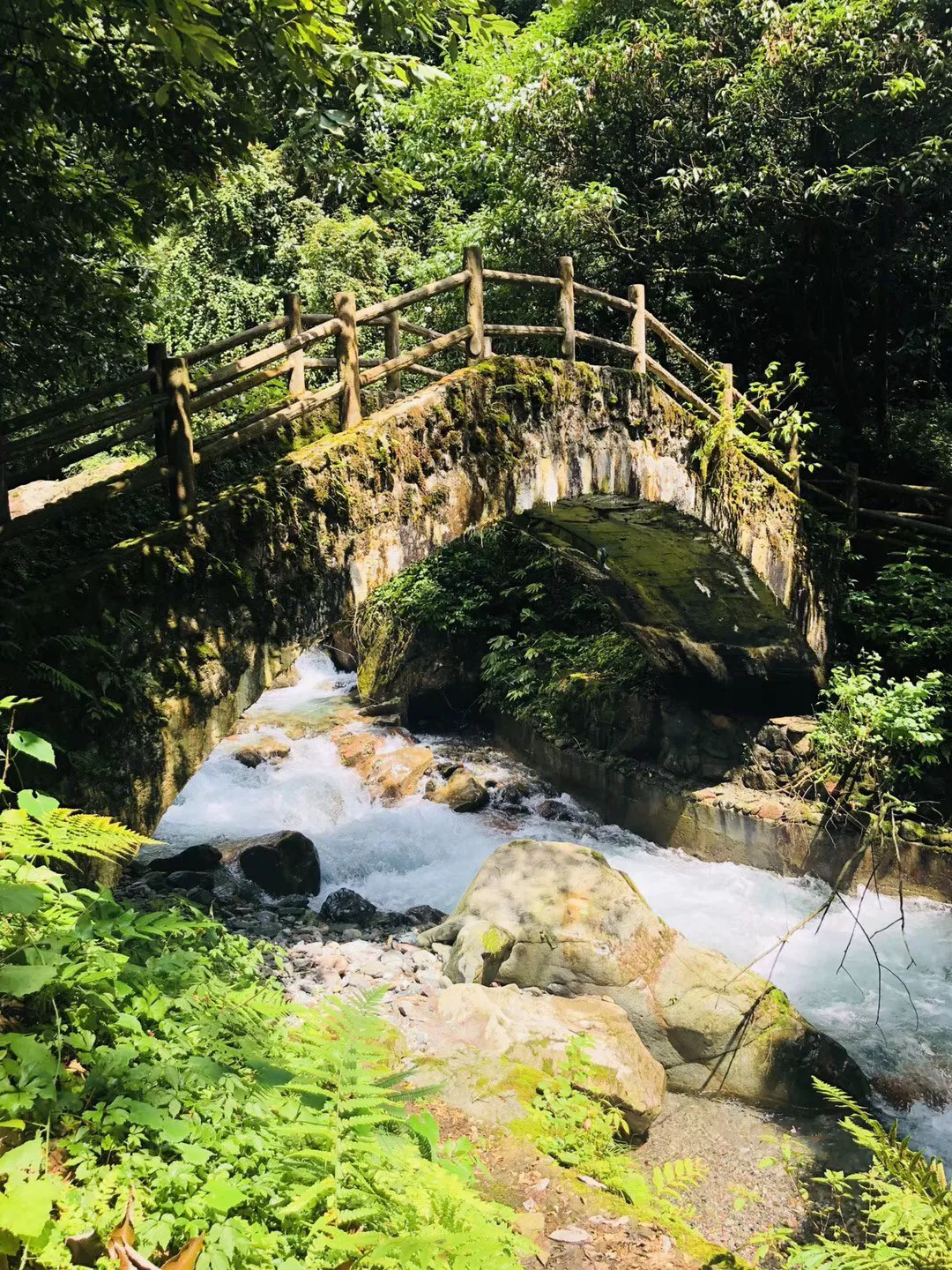 新款本田思域混动官图发布,细节小改