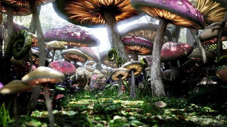 一个长方形广场的周长是726米长是宽的两倍,这个长方形长和宽分别是多少?知识星球,专业共享与交流平台
